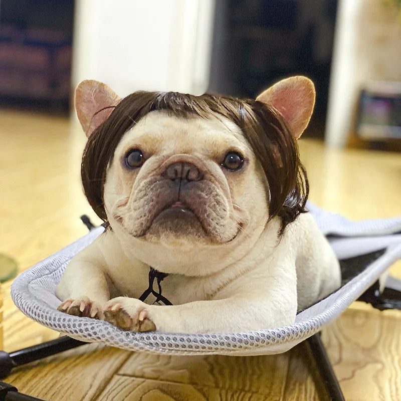 Pet Wigs for Cosplay and Photography - Cross-Dressing Hair Set for Dogs and Cats, Fun Accessories and Costumes for Pets