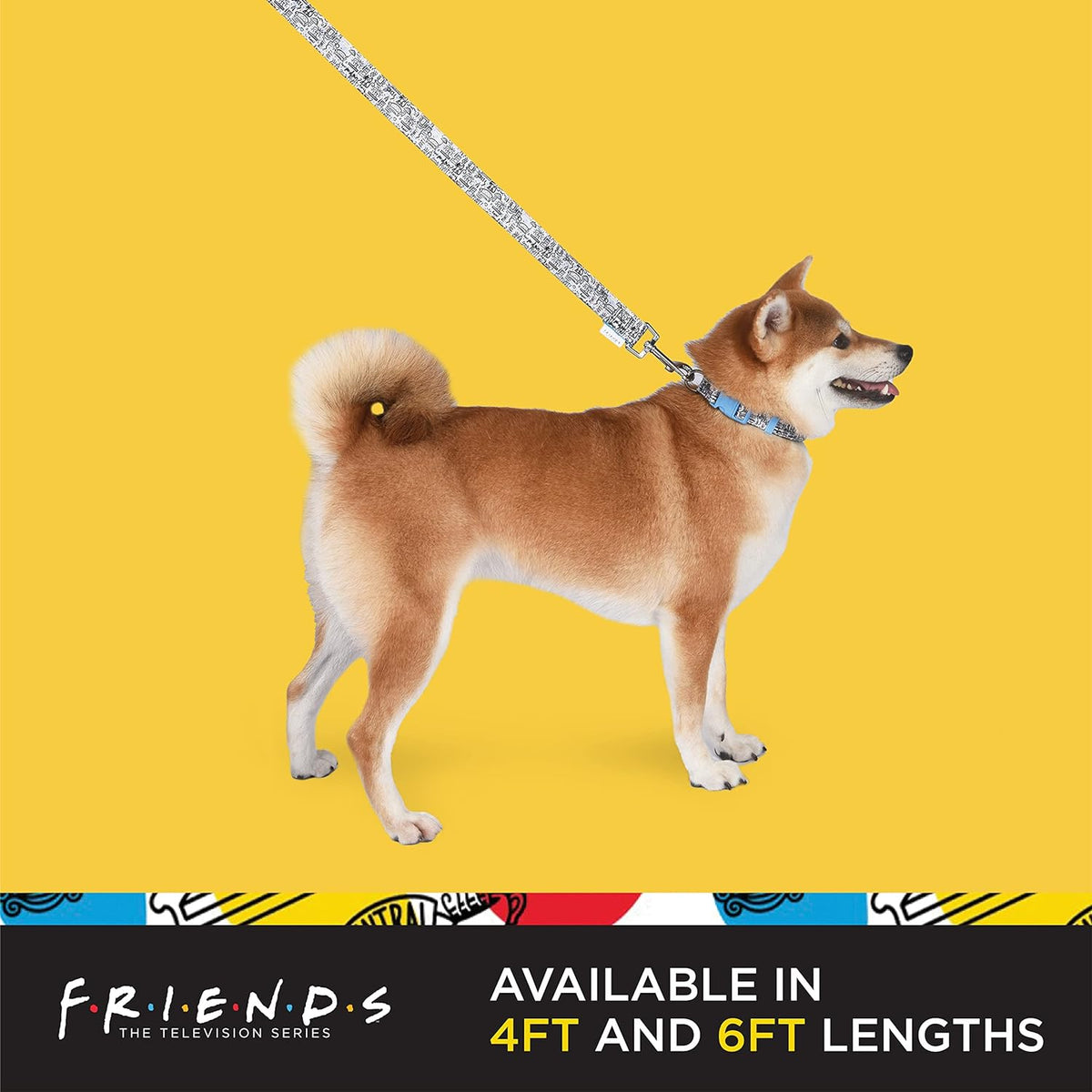 Friends TV Show City Doodle Dog Leash - 4 Ft (48 Inches) | Stylish Blue Leash Compatible with Any Collar or Harness