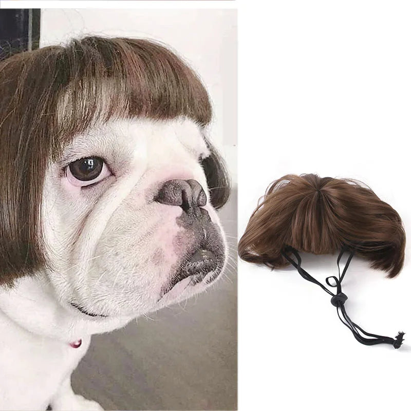 Pet Wigs for Cosplay and Photography - Cross-Dressing Hair Set for Dogs and Cats, Fun Accessories and Costumes for Pets