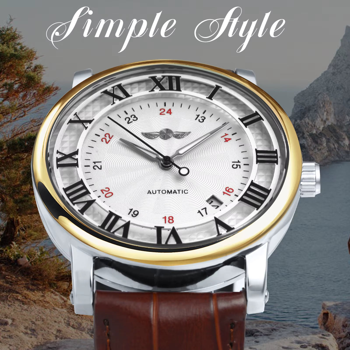 WINNER Business Fashion Mechanical Watches Date Display Minimalist Automatic Watch for Men Casual Brown Leather Strap Wristwatch