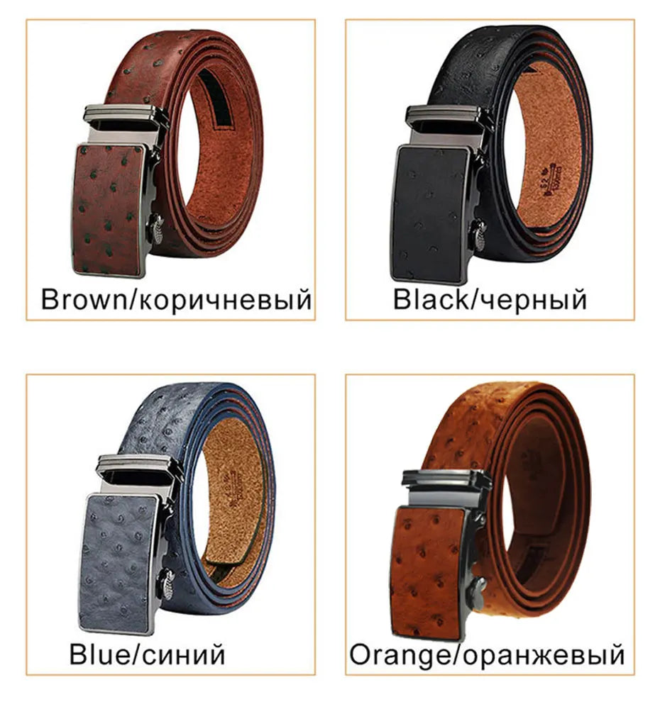 Luxury Leather Belt for Men Original Designt Ostrich Grain Automatic Buckle Belt Ceinture Homme Cinto Masculino