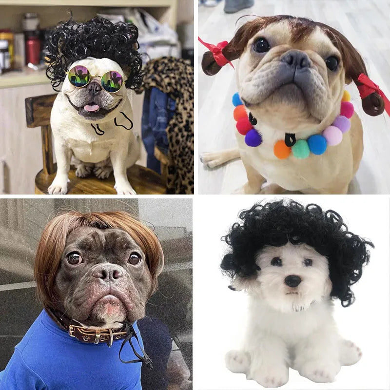 Pet Wigs for Cosplay and Photography - Cross-Dressing Hair Set for Dogs and Cats, Fun Accessories and Costumes for Pets