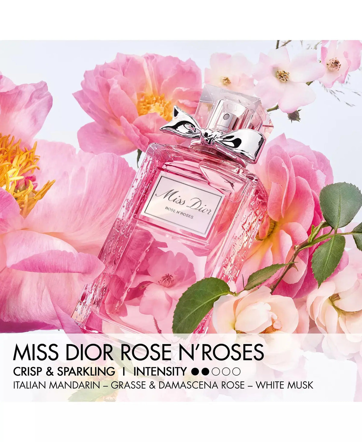 Miss Dior Rose N'Roses Dior for Women 100ML