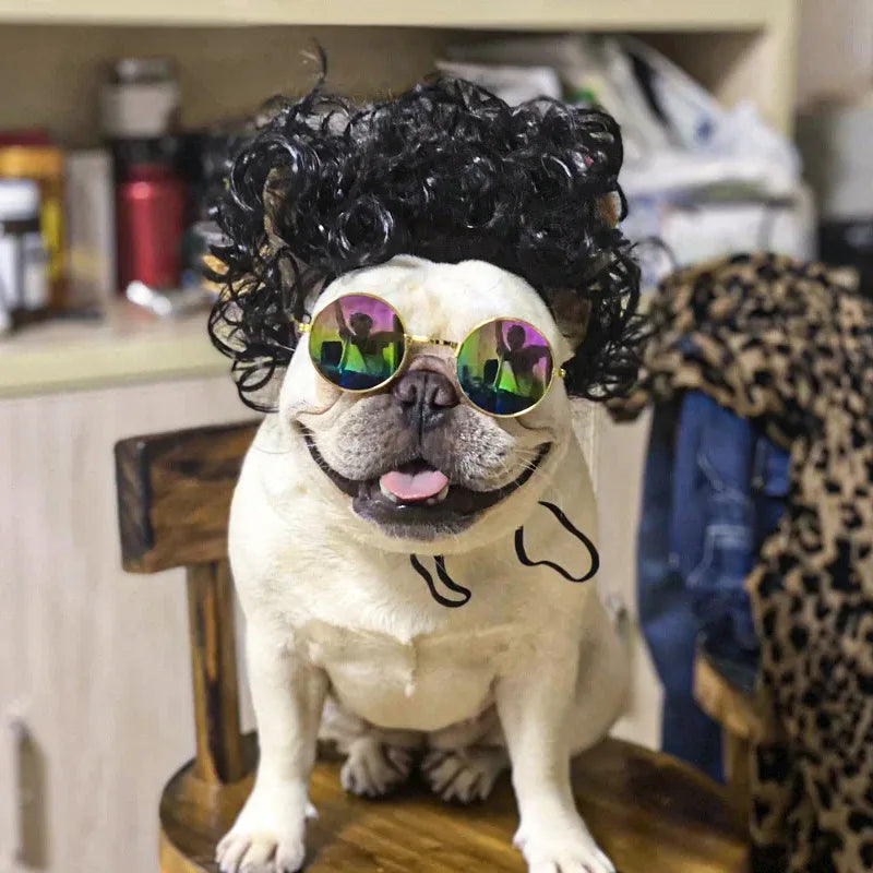 Pet Wigs for Cosplay and Photography - Cross-Dressing Hair Set for Dogs and Cats, Fun Accessories and Costumes for Pets