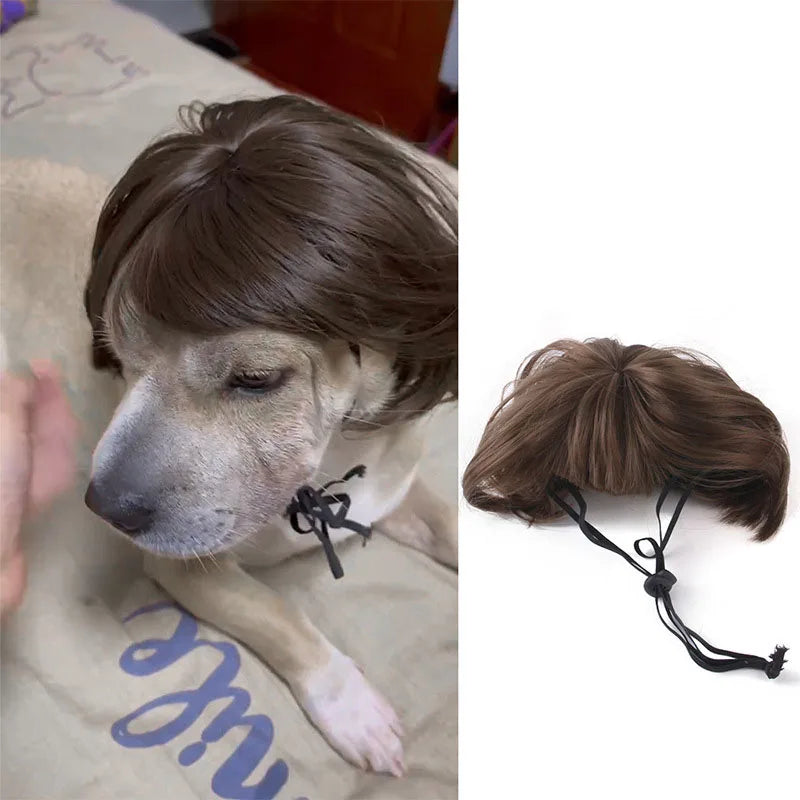 Pet Wigs for Cosplay and Photography - Cross-Dressing Hair Set for Dogs and Cats, Fun Accessories and Costumes for Pets