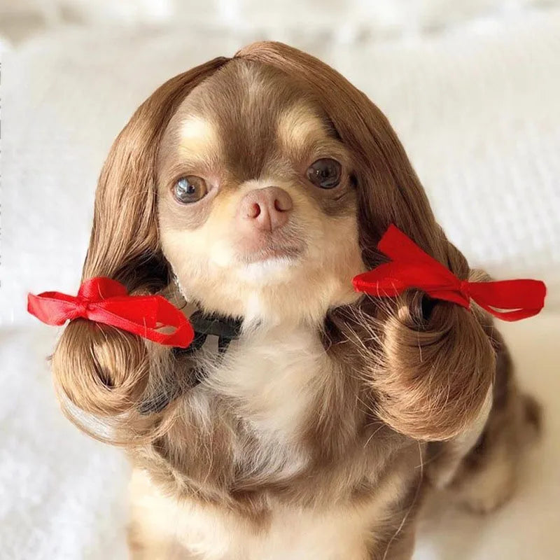 Pet Wigs for Cosplay and Photography - Cross-Dressing Hair Set for Dogs and Cats, Fun Accessories and Costumes for Pets