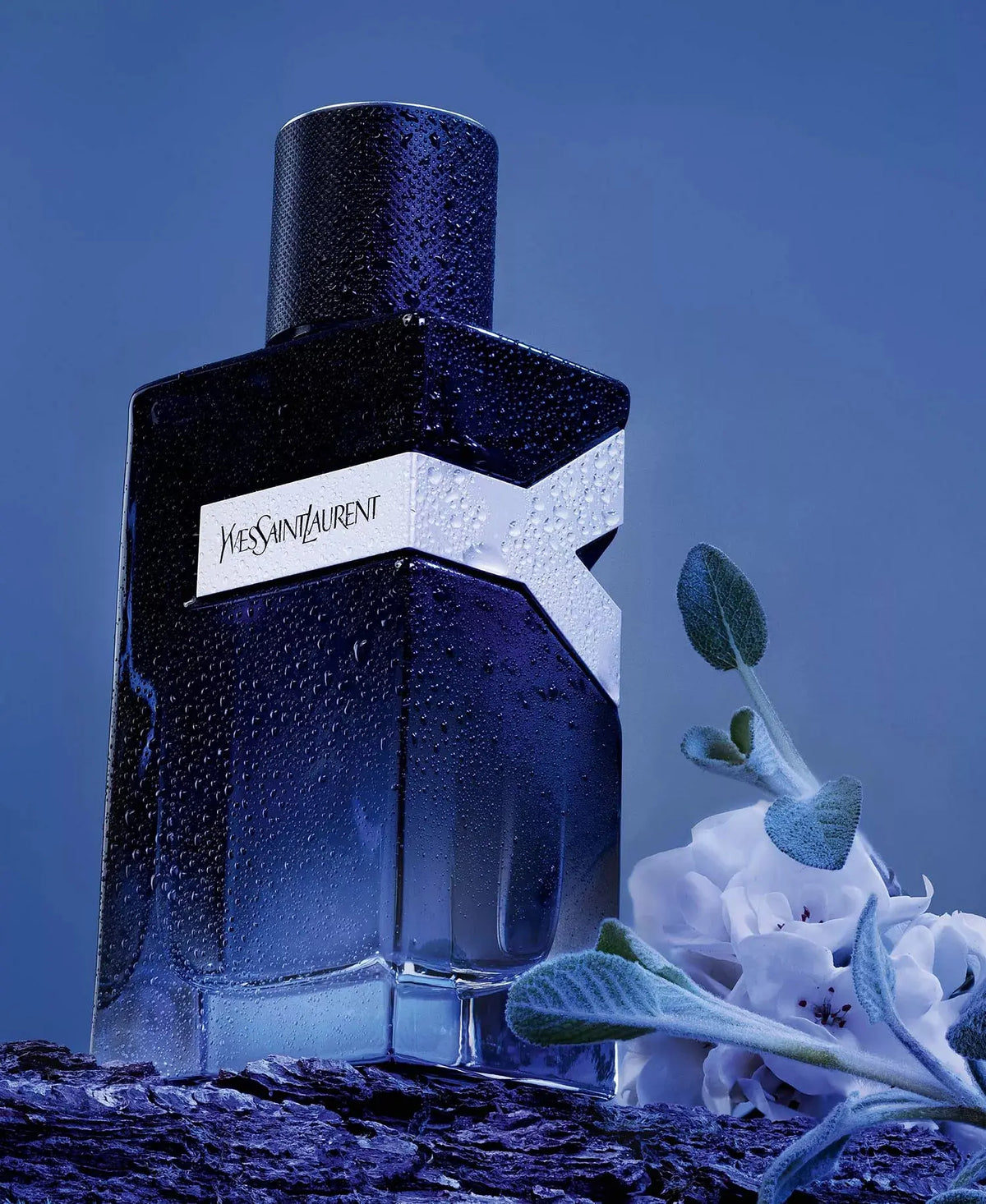 Y Eau De Parfum YSL 100Ml