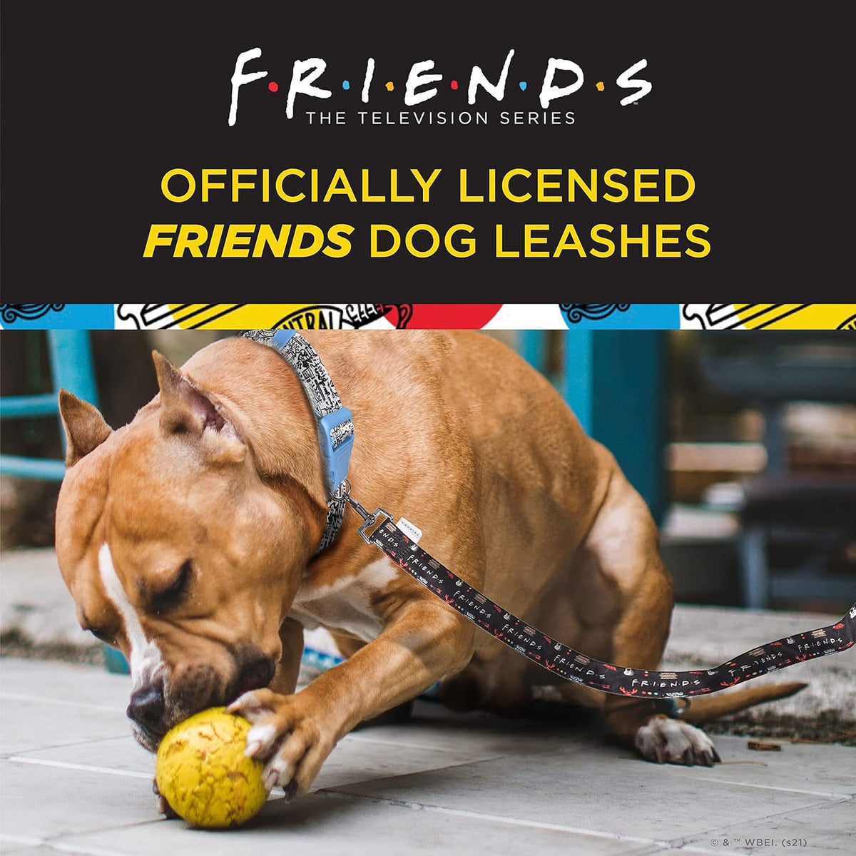 Friends TV Show City Doodle Dog Leash - 4 Ft (48 Inches) | Stylish Blue Leash Compatible with Any Collar or Harness