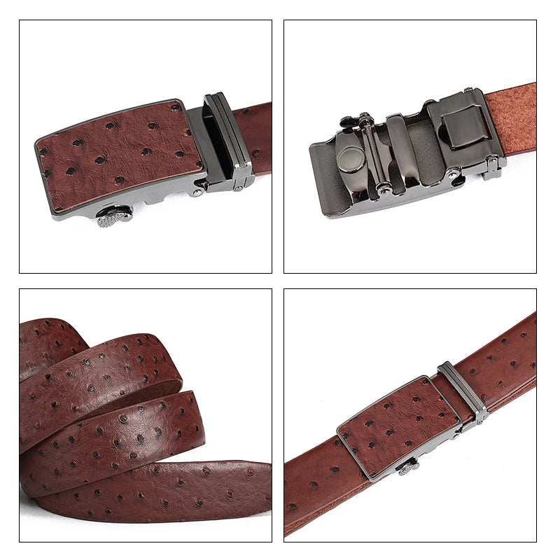 Luxury Leather Belt for Men Original Designt Ostrich Grain Automatic Buckle Belt Ceinture Homme Cinto Masculino
