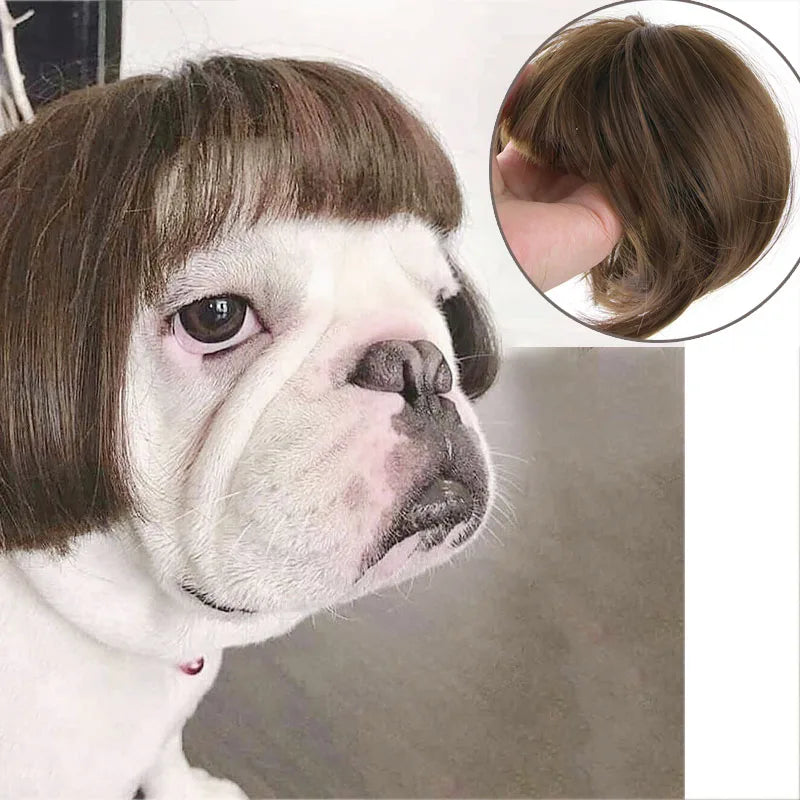 Pet Wigs for Cosplay and Photography - Cross-Dressing Hair Set for Dogs and Cats, Fun Accessories and Costumes for Pets