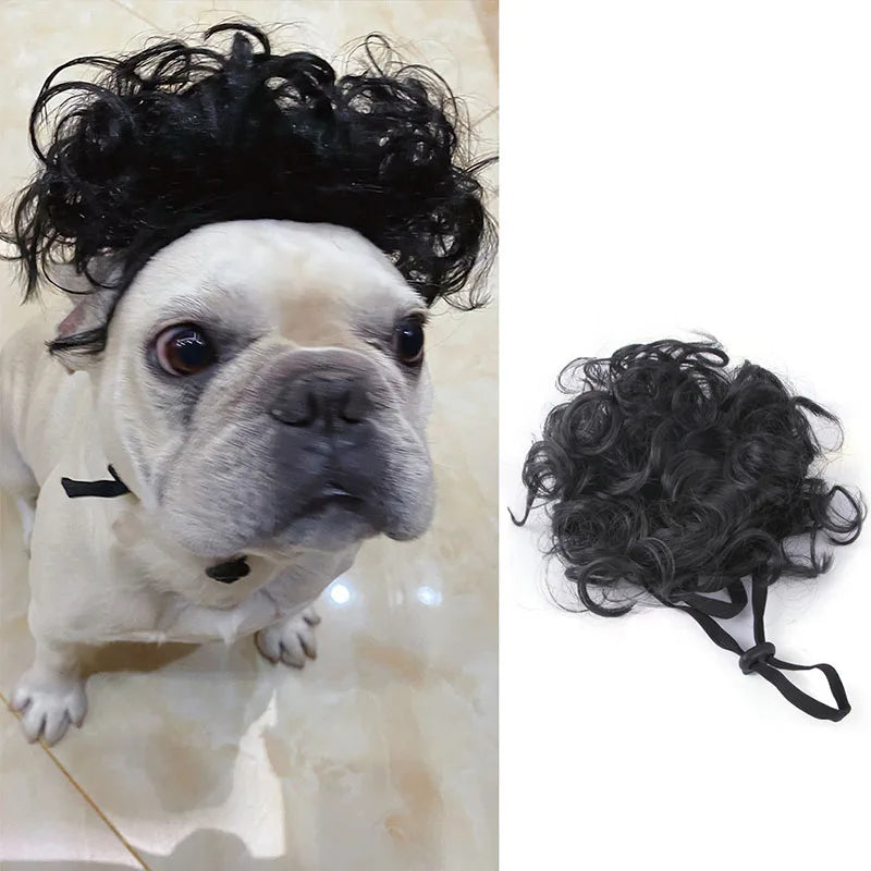 Pet Wigs for Cosplay and Photography - Cross-Dressing Hair Set for Dogs and Cats, Fun Accessories and Costumes for Pets