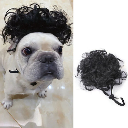 Pet Wigs for Cosplay and Photography - Cross-Dressing Hair Set for Dogs and Cats, Fun Accessories and Costumes for Pets